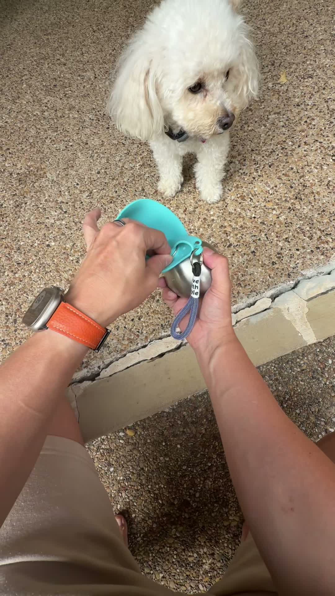 Portable dog water bottle with built-in silicone bowl